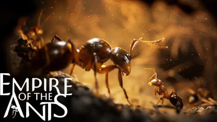The Challenge of Resource Management in Empire of the Ants